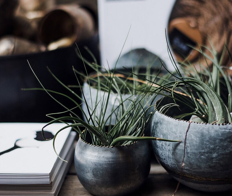 Hello world! – Post No. 2